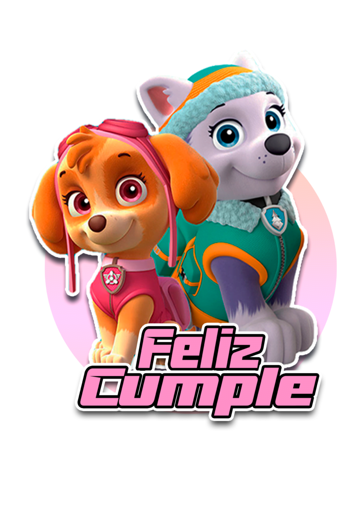 cake topper skye paw patrol topo de bolo