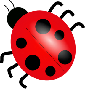 cup topper Miraculous Lady bug 7