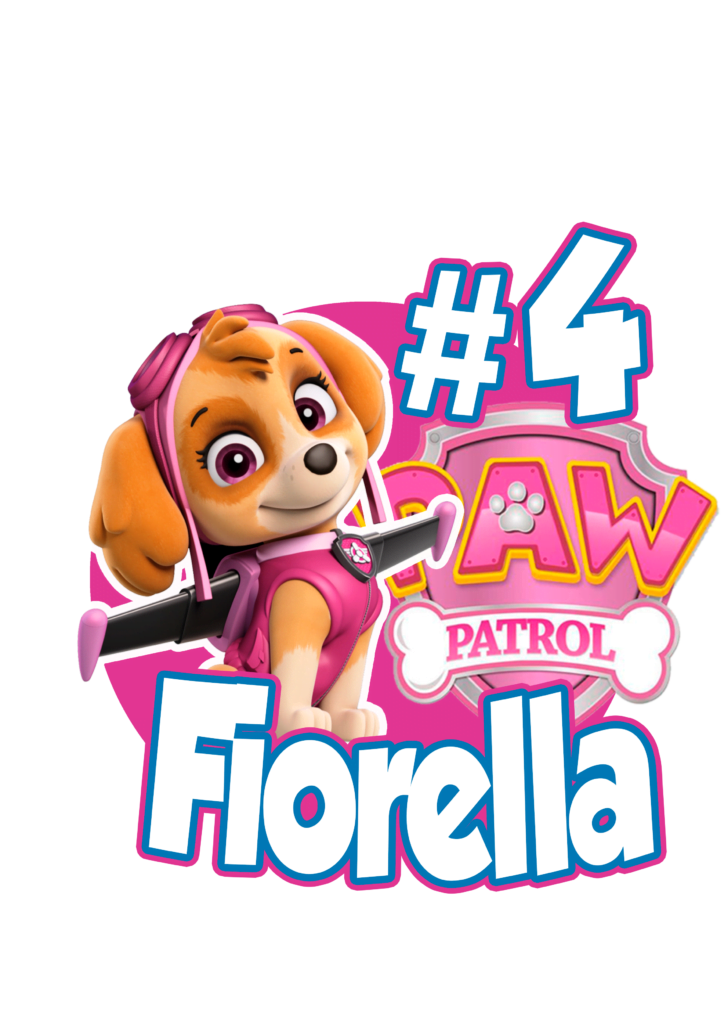 fiorella 4 años cake topper skye paw patrol topo de bolo