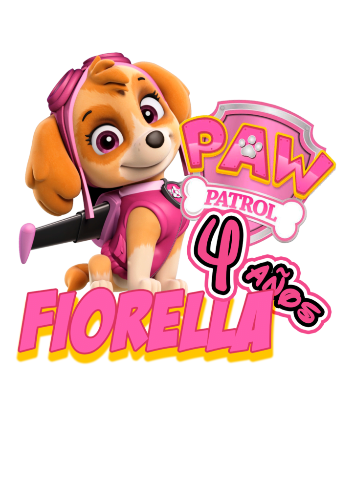 paw patrol FIORE 4 años cake topper skye paw patrol topo de bolo