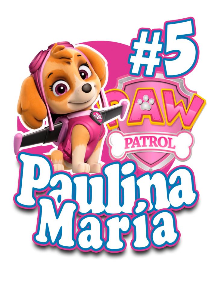 topo de bolo cake topper skye paw patrol páulina maria 5 años