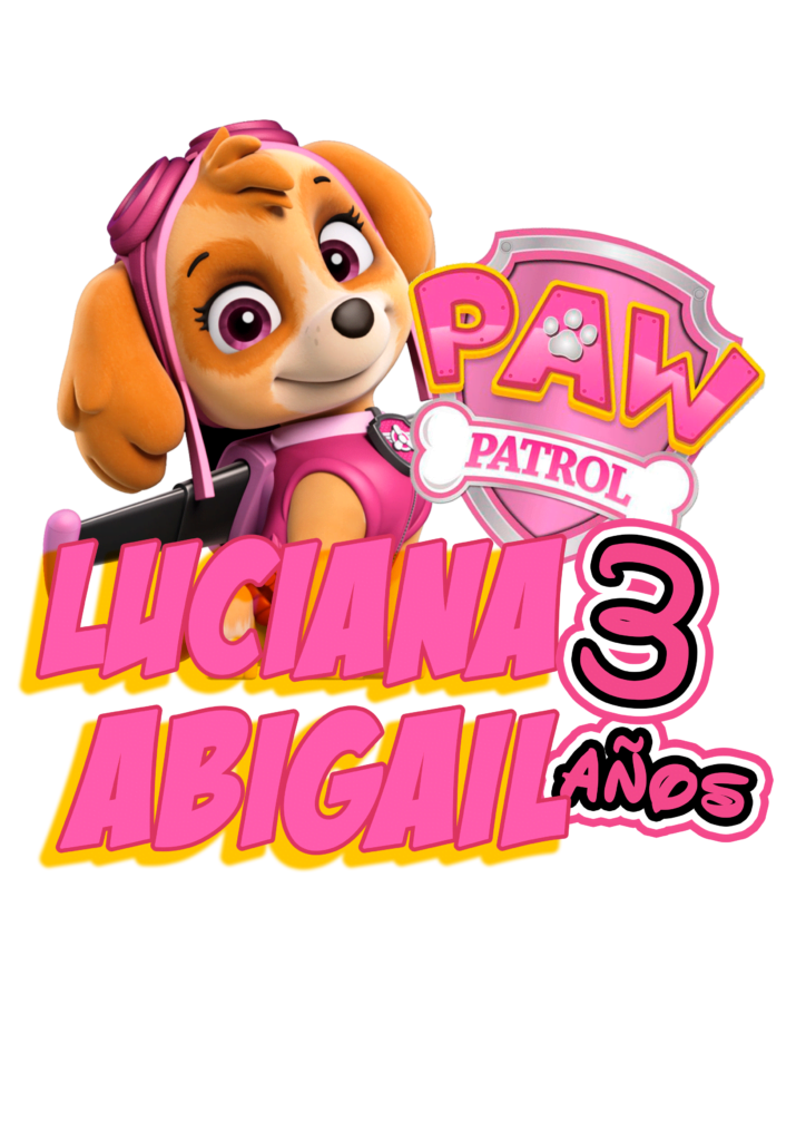 paw patrol luciana cake topper skye paw patrol topo de bolo 3 años