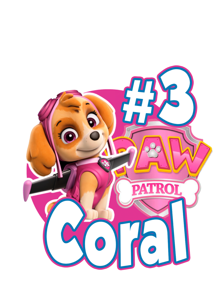 paw patrol skye coral cake topper skye paw patrol topo de bolo