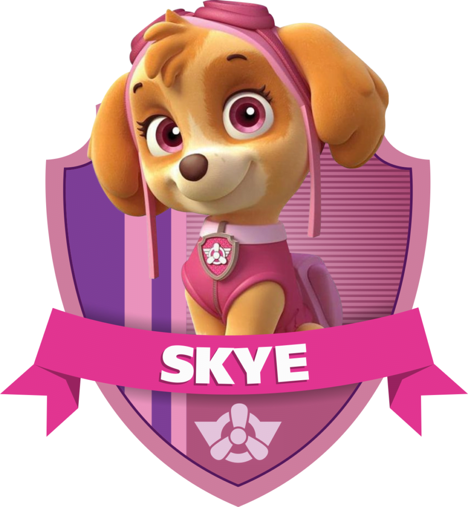 skye paw patrol