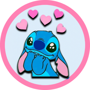 aesthetic stickers stitch