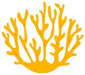 plant png sereia