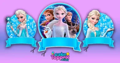 Frozen-cake-topper-de-frozen-topo-de-bolo-frozen