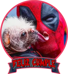 dogpool feliz cumple png